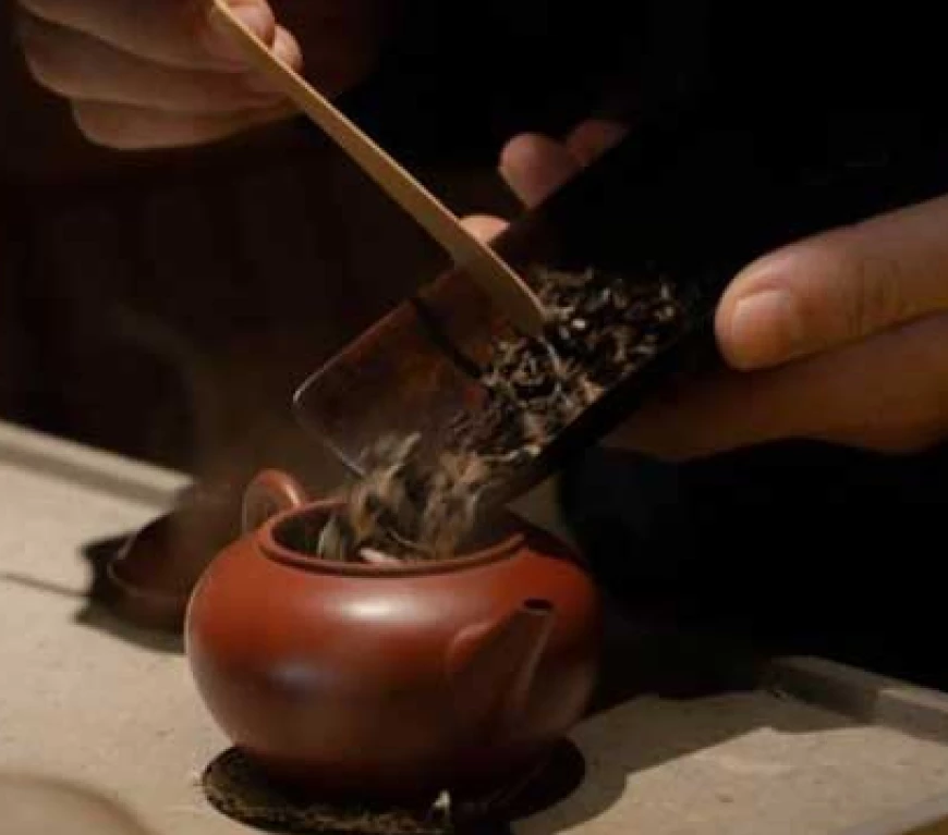 tiec-tra-tea-omakase-4