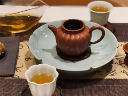 hinh-am-tra